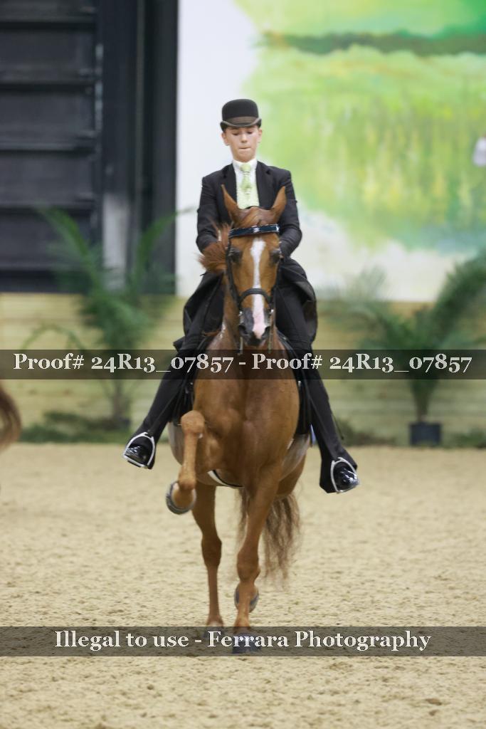 Proof 24R13_07857