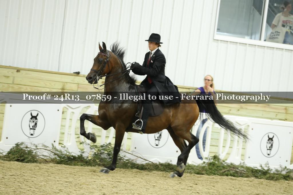 Proof 24R13_07859