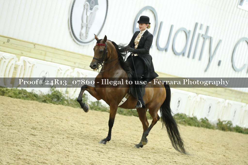 Proof 24R13_07860