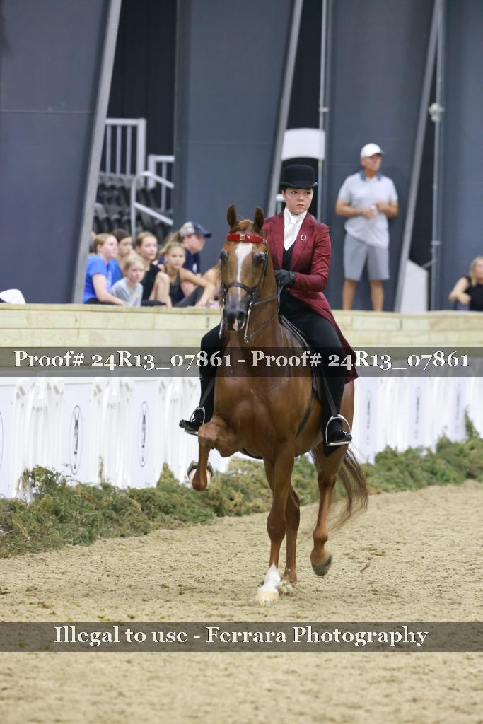 Proof 24R13_07861