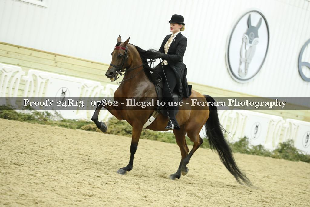 Proof 24R13_07862