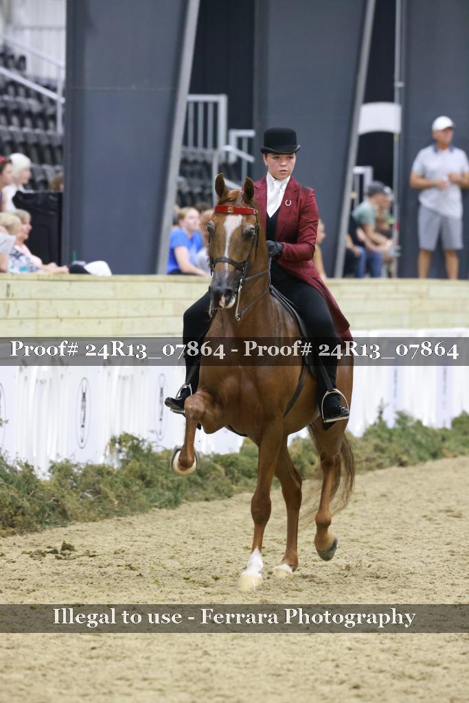Proof 24R13_07864