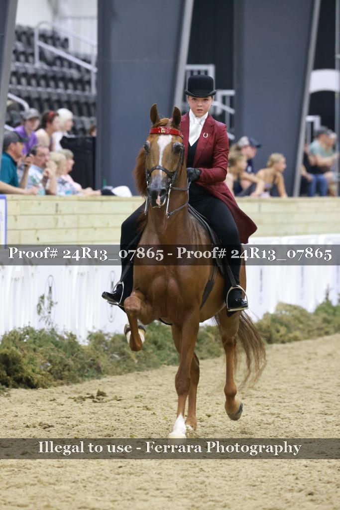 Proof 24R13_07865