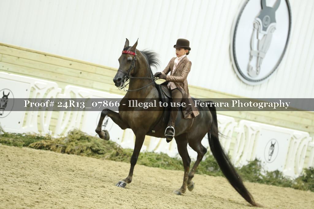 Proof 24R13_07866