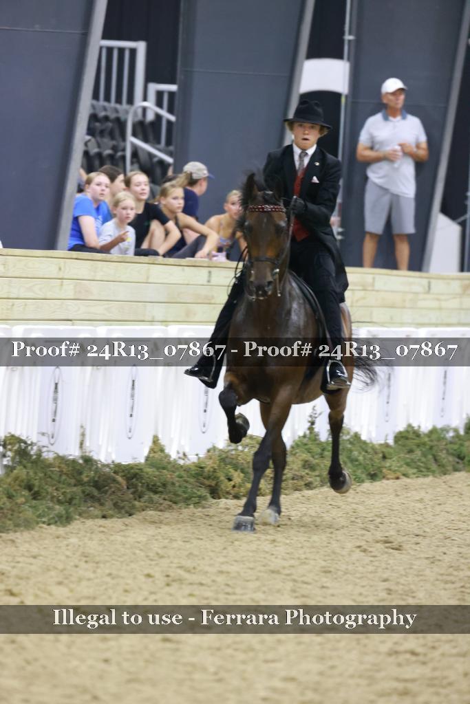 Proof 24R13_07867
