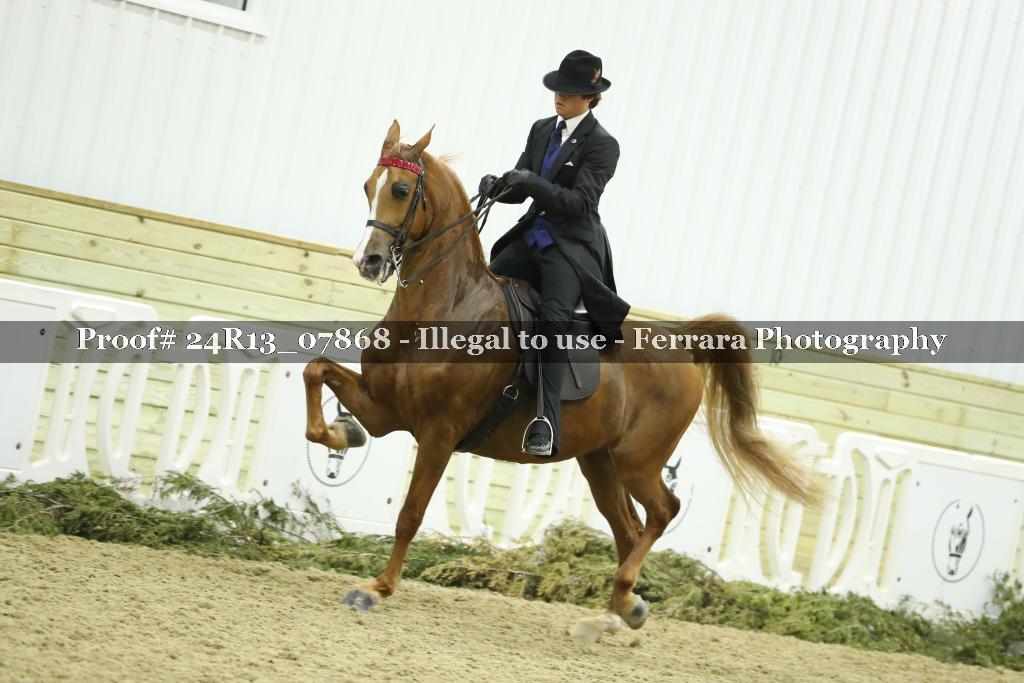 Proof 24R13_07868