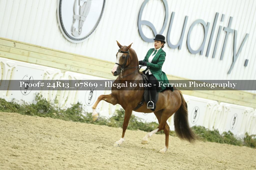 Proof 24R13_07869