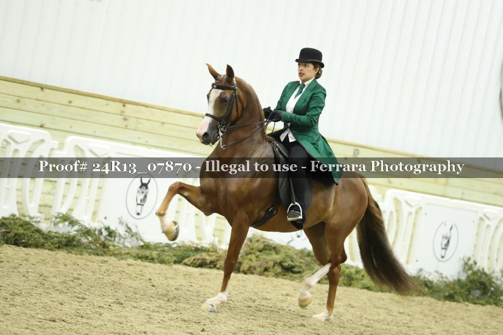 Proof 24R13_07870