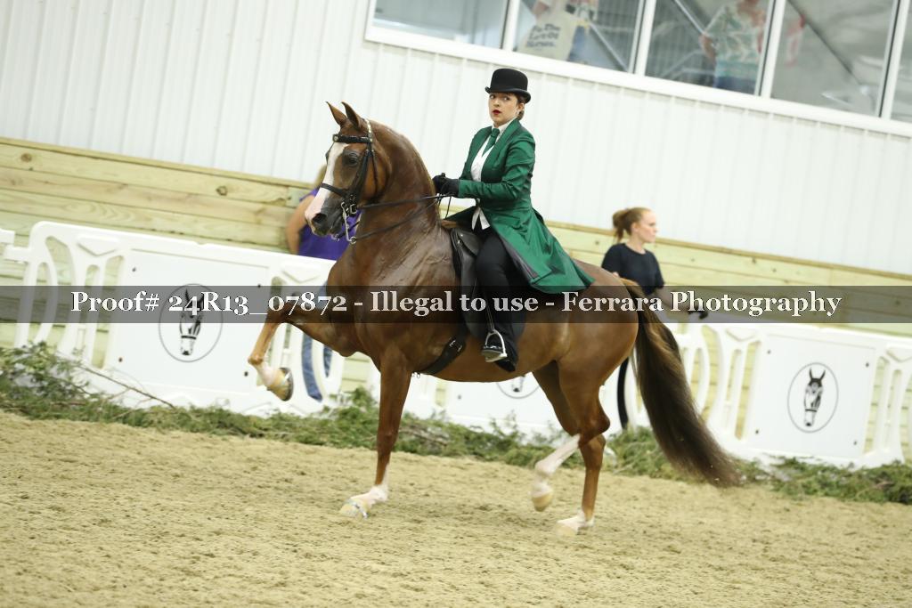 Proof 24R13_07872