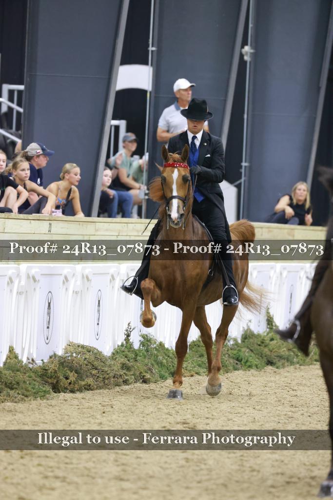 Proof 24R13_07873