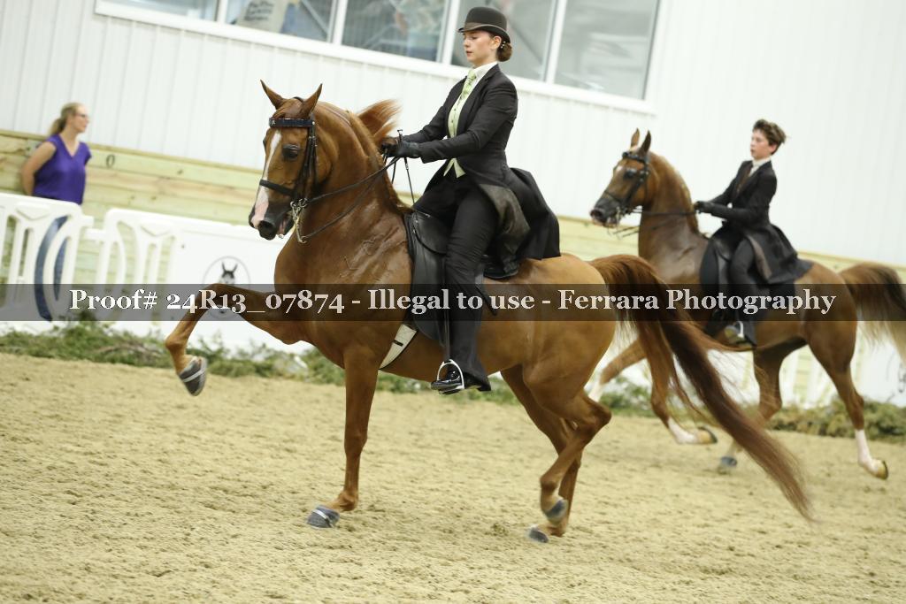 Proof 24R13_07874