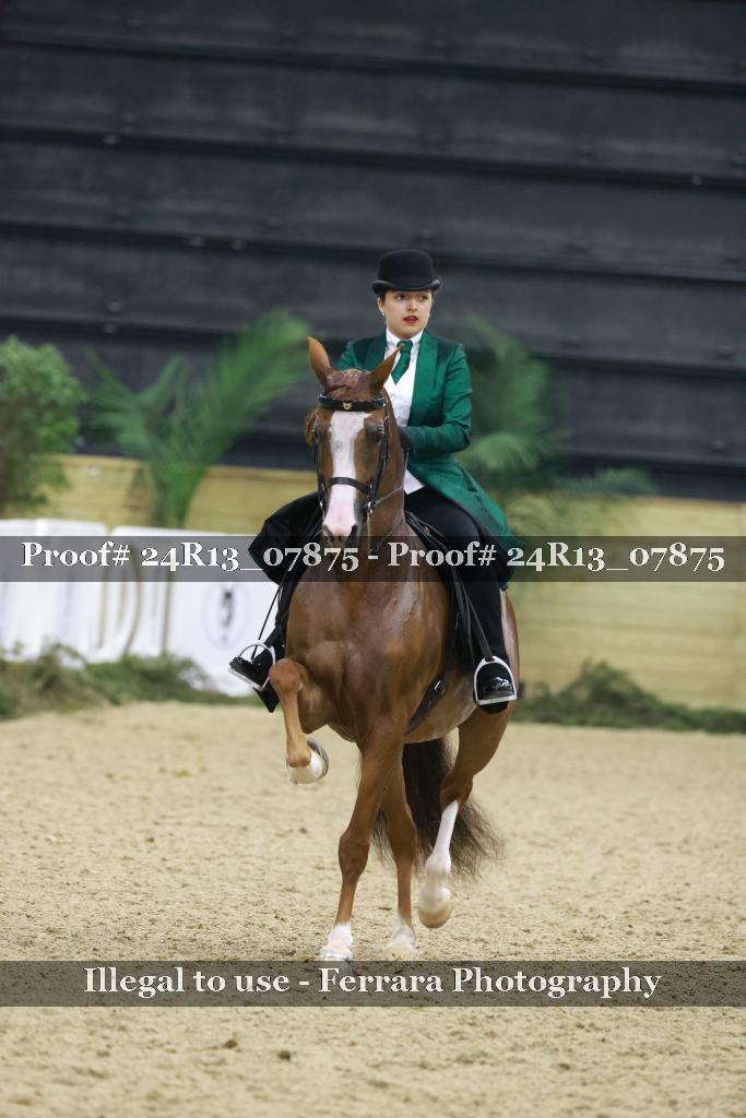 Proof 24R13_07875