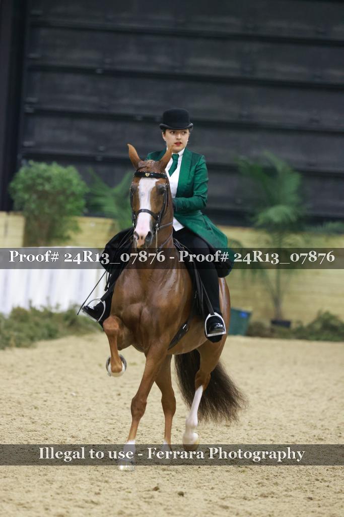 Proof 24R13_07876