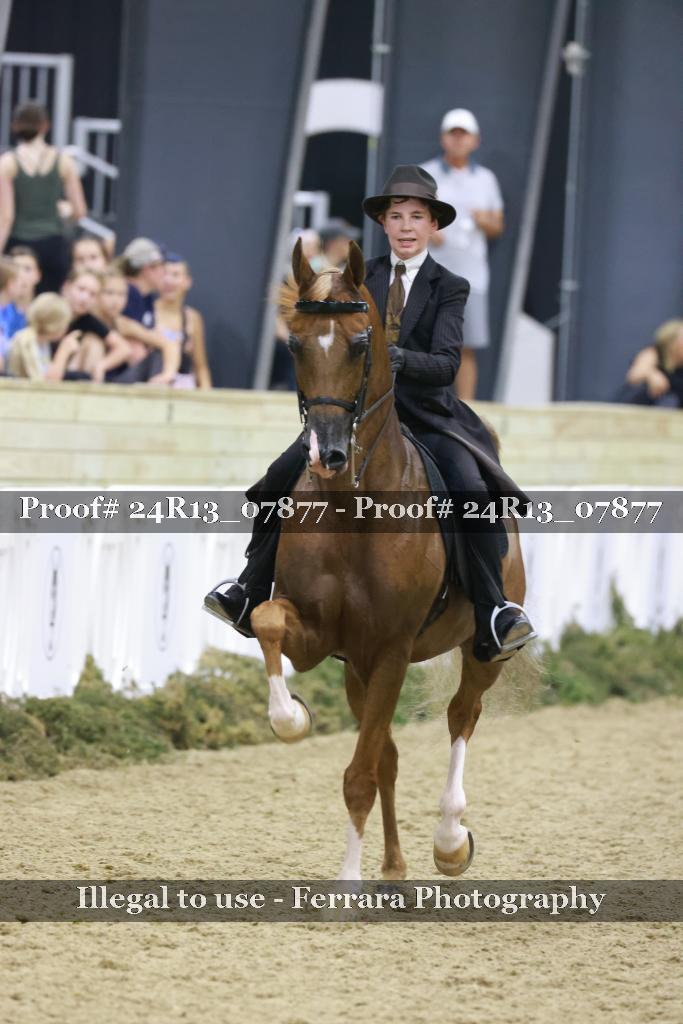 Proof 24R13_07877
