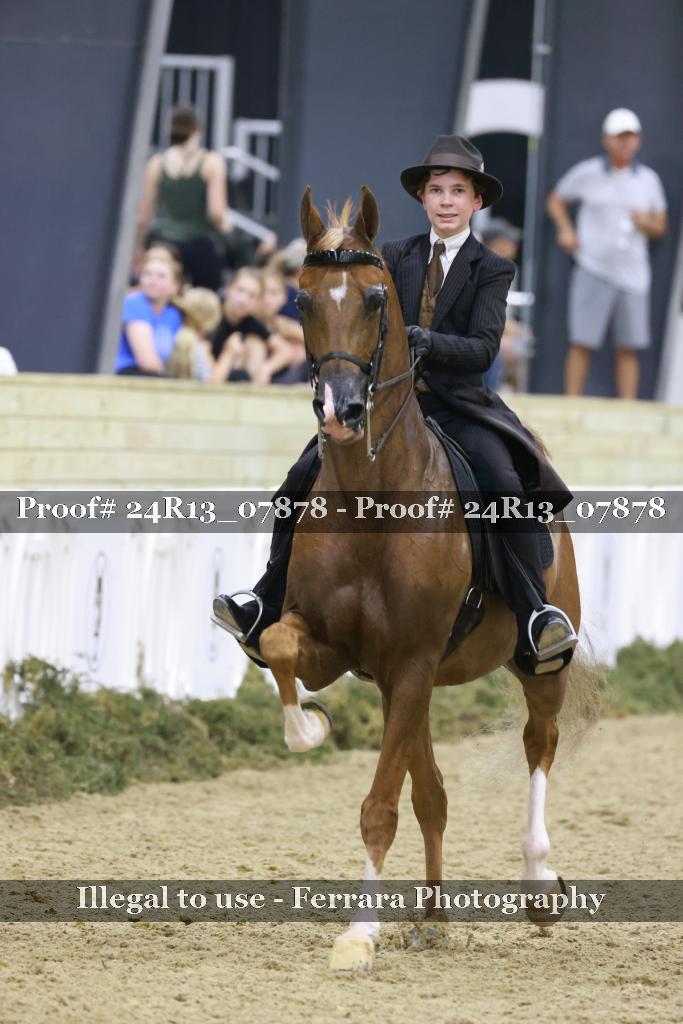 Proof 24R13_07878