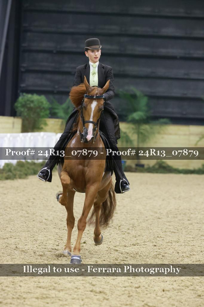 Proof 24R13_07879