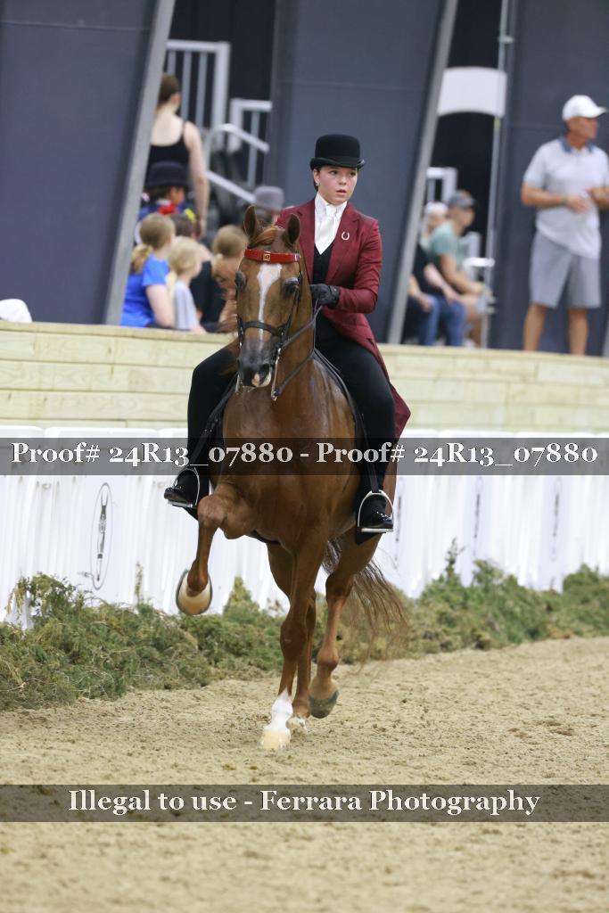 Proof 24R13_07880