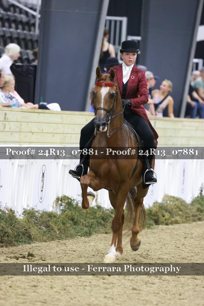Proof 24R13_07881