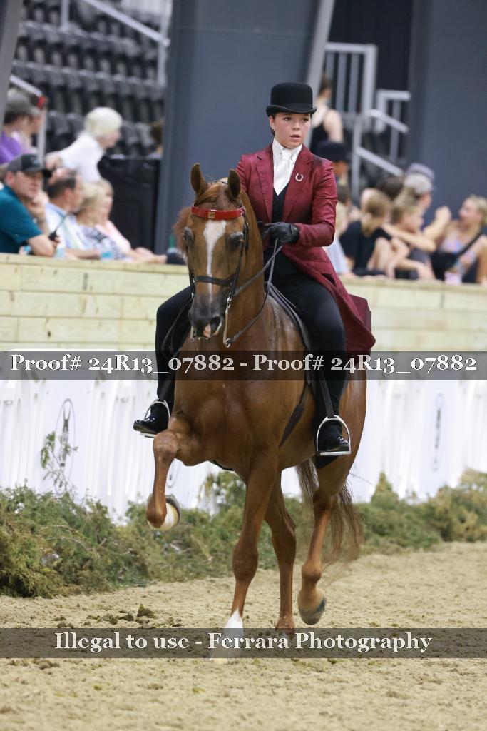 Proof 24R13_07882
