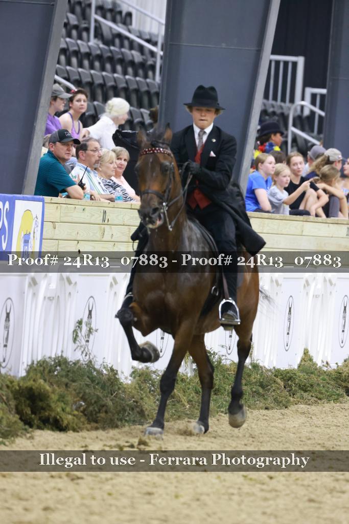 Proof 24R13_07883