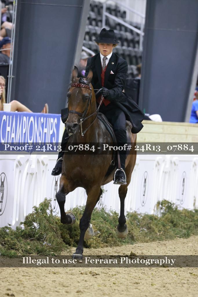 Proof 24R13_07884