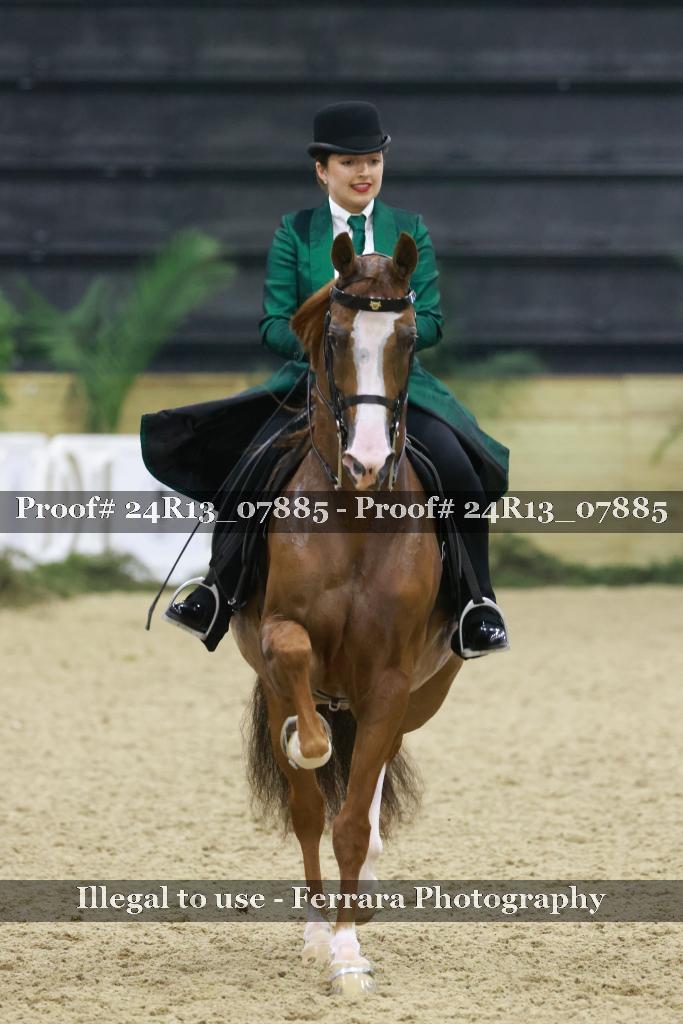 Proof 24R13_07885