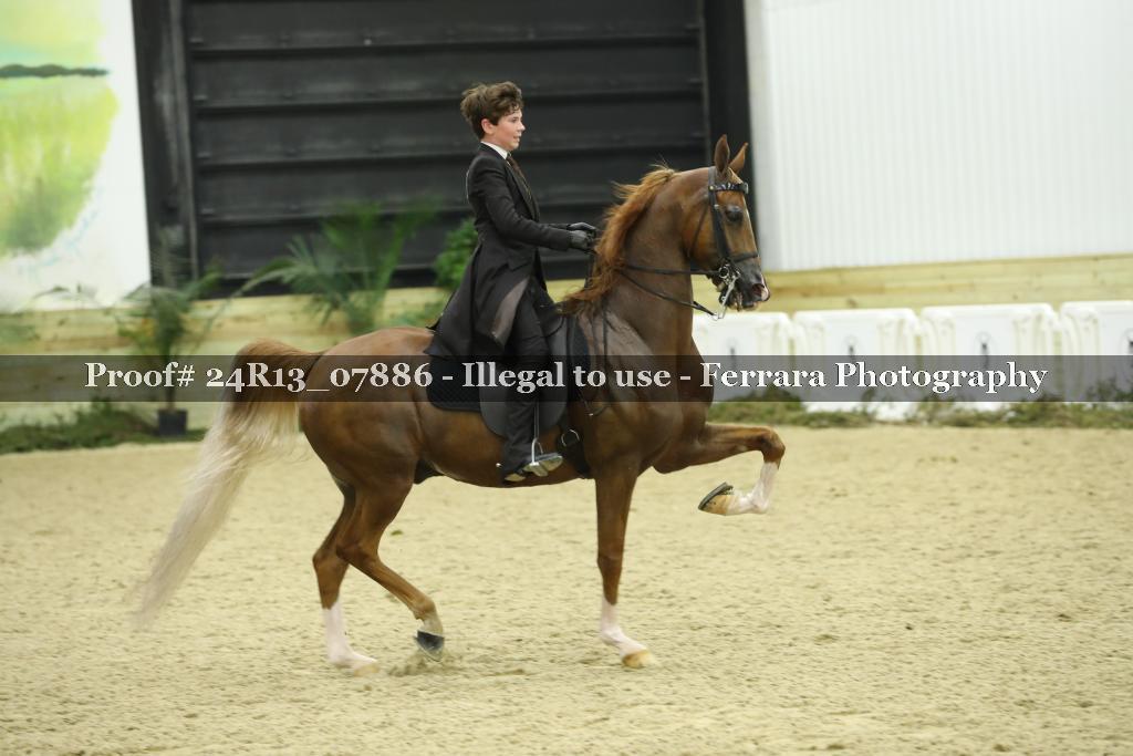 Proof 24R13_07886