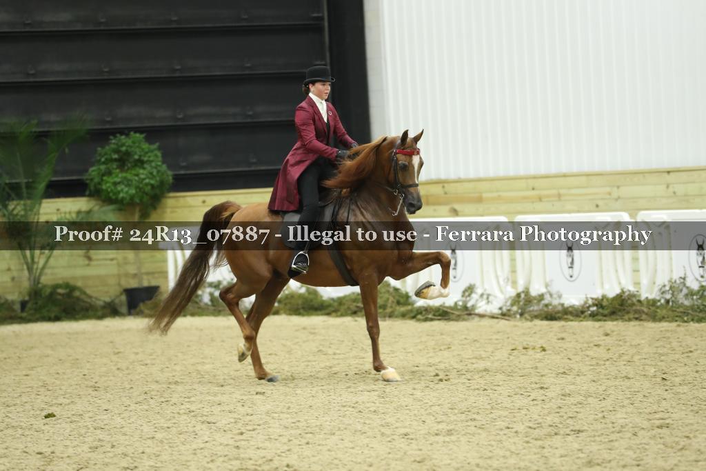Proof 24R13_07887