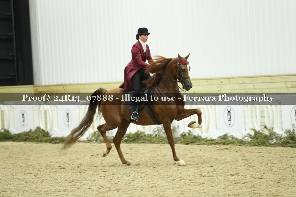 Proof 24R13_07888