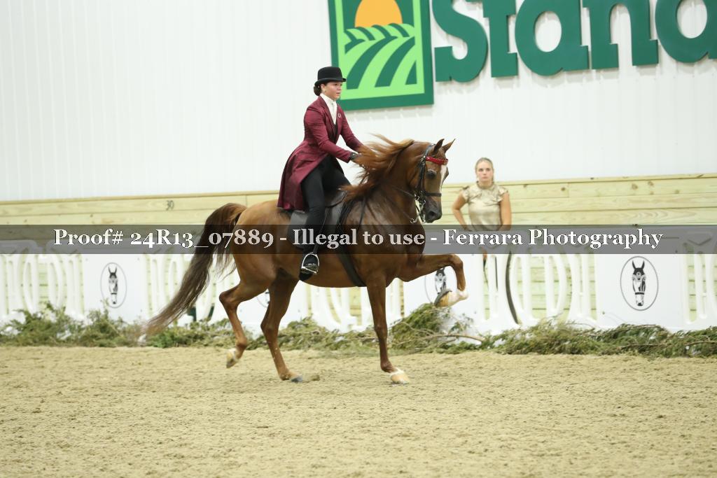 Proof 24R13_07889