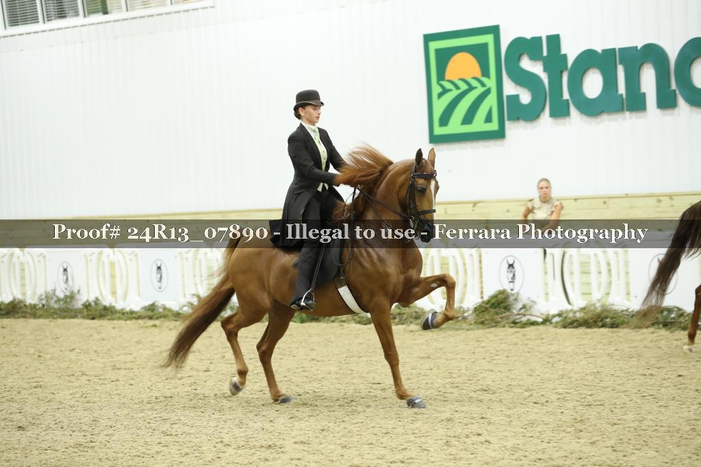 Proof 24R13_07890