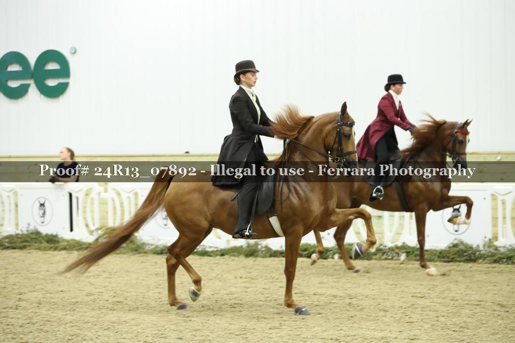 Proof 24R13_07892