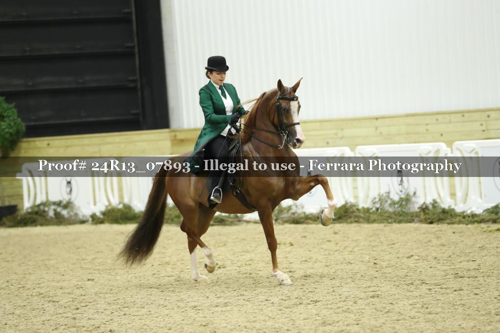 Proof 24R13_07893