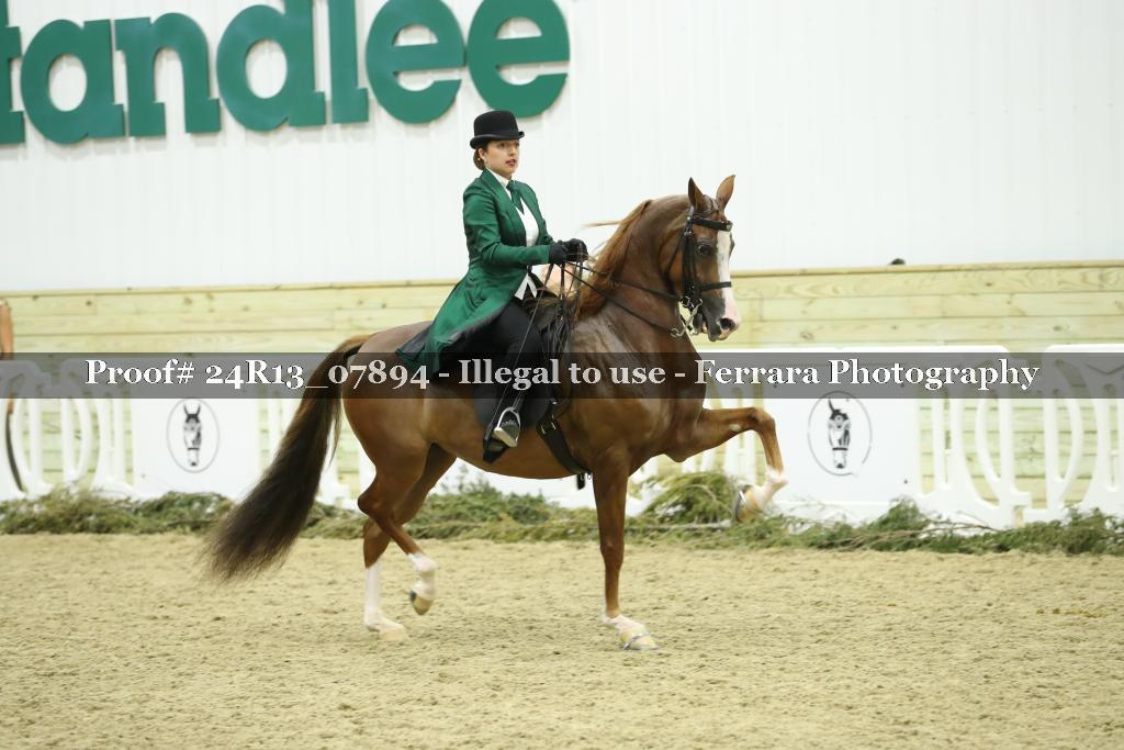 Proof 24R13_07894