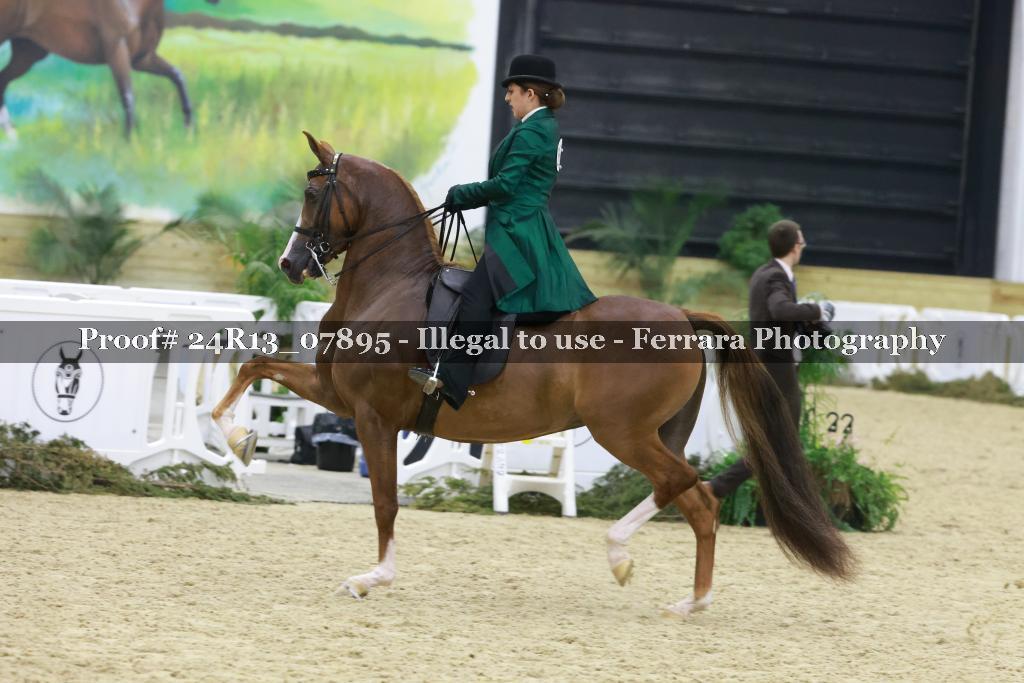 Proof 24R13_07895