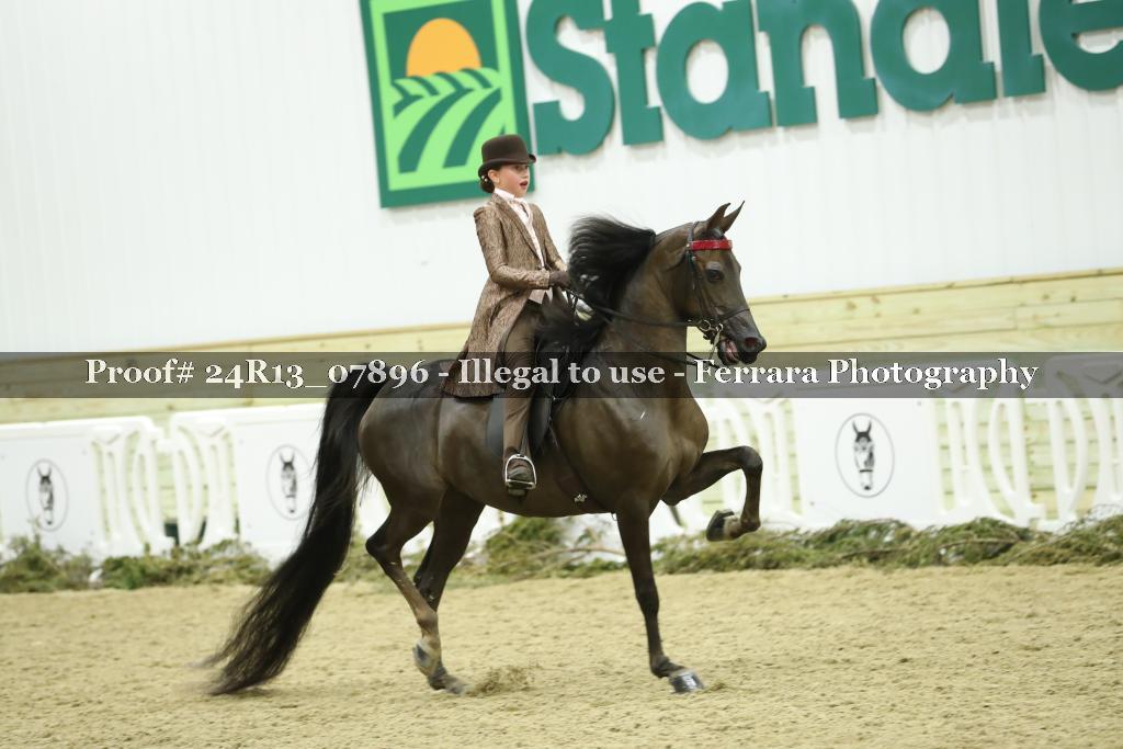 Proof 24R13_07896