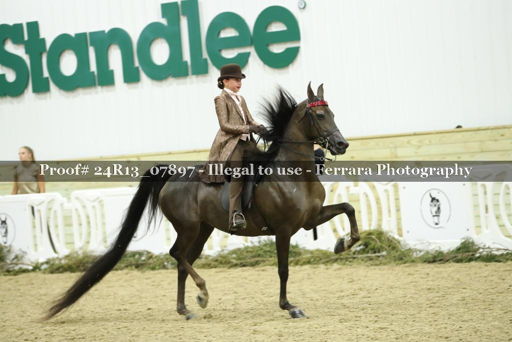 Proof 24R13_07897