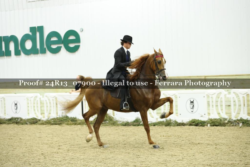 Proof 24R13_07900