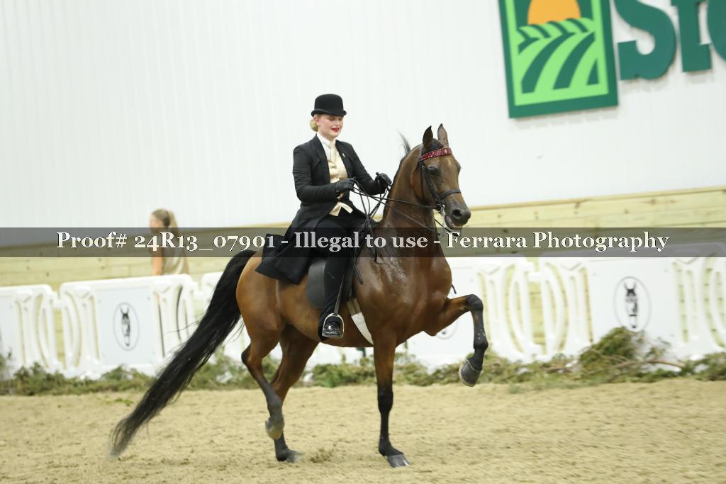 Proof 24R13_07901