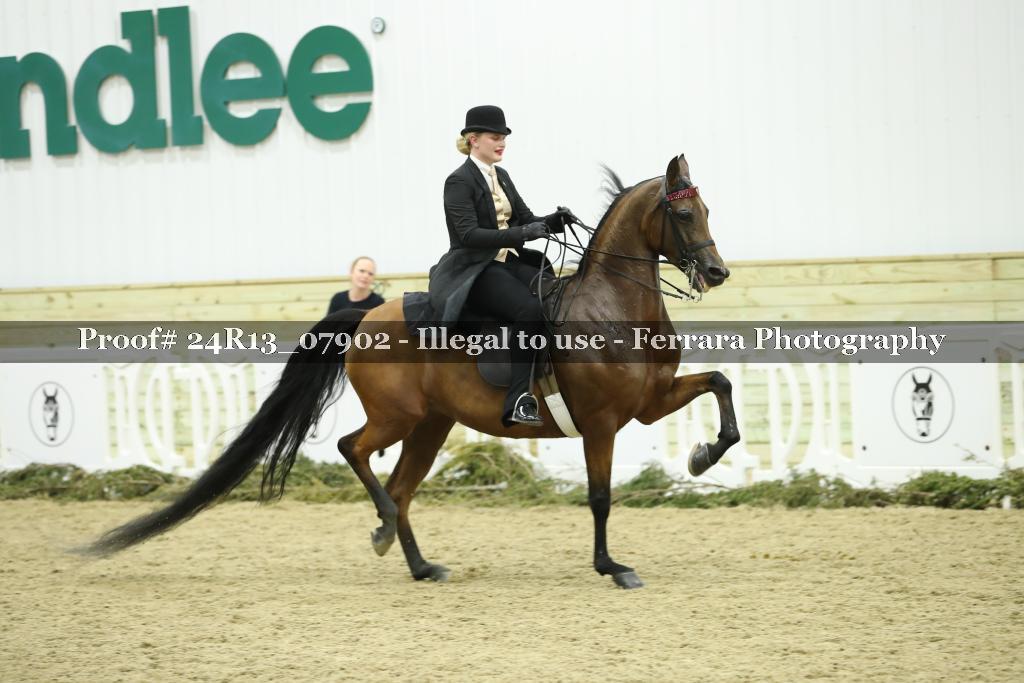 Proof 24R13_07902