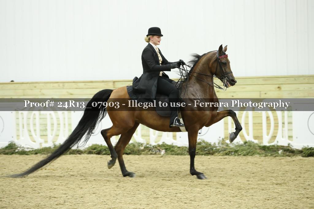 Proof 24R13_07903