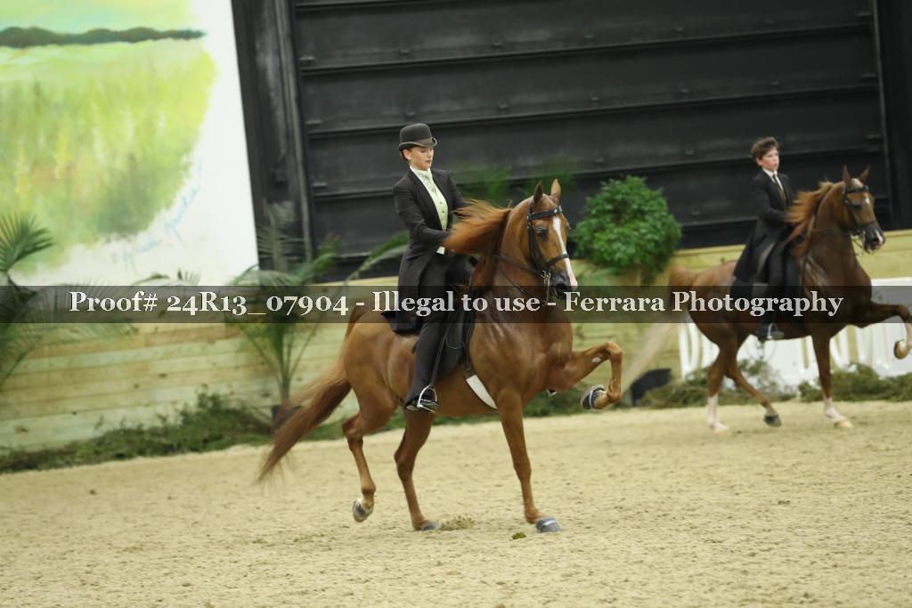 Proof 24R13_07904