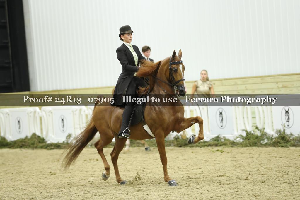 Proof 24R13_07905