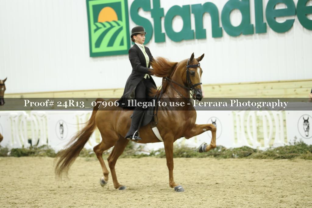 Proof 24R13_07906