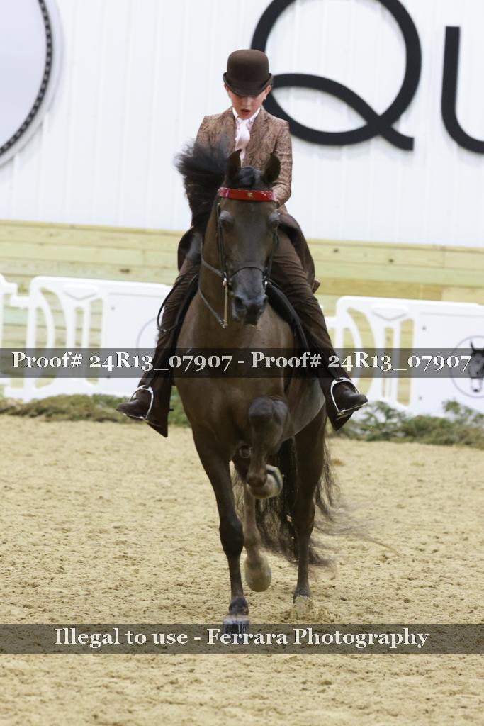Proof 24R13_07907