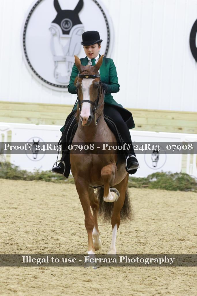 Proof 24R13_07908