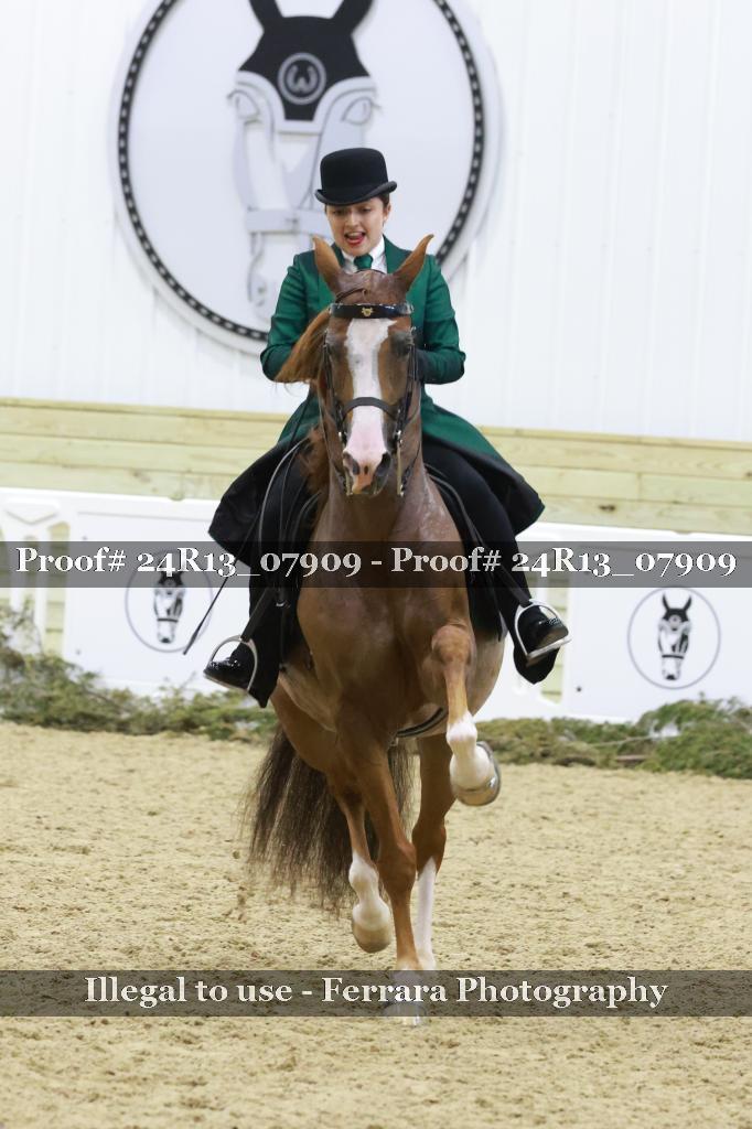 Proof 24R13_07909