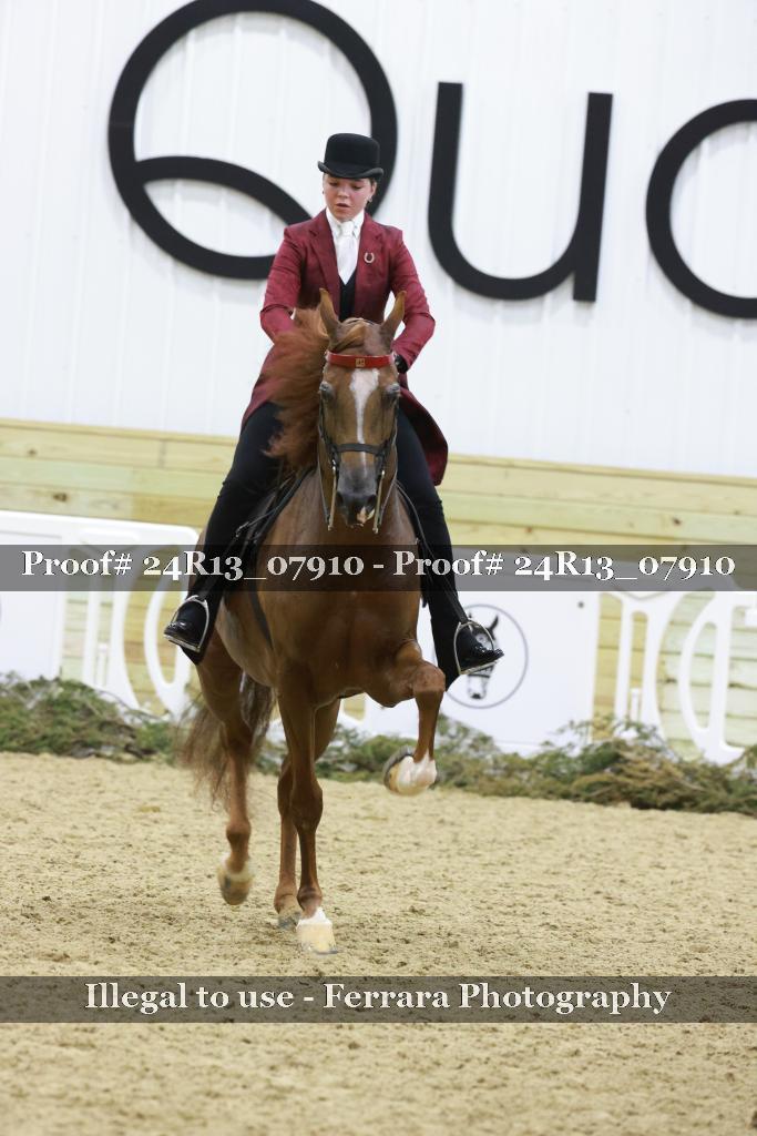 Proof 24R13_07910