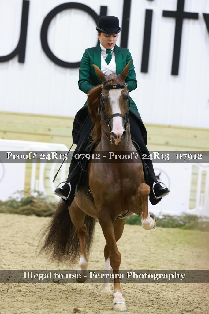 Proof 24R13_07912