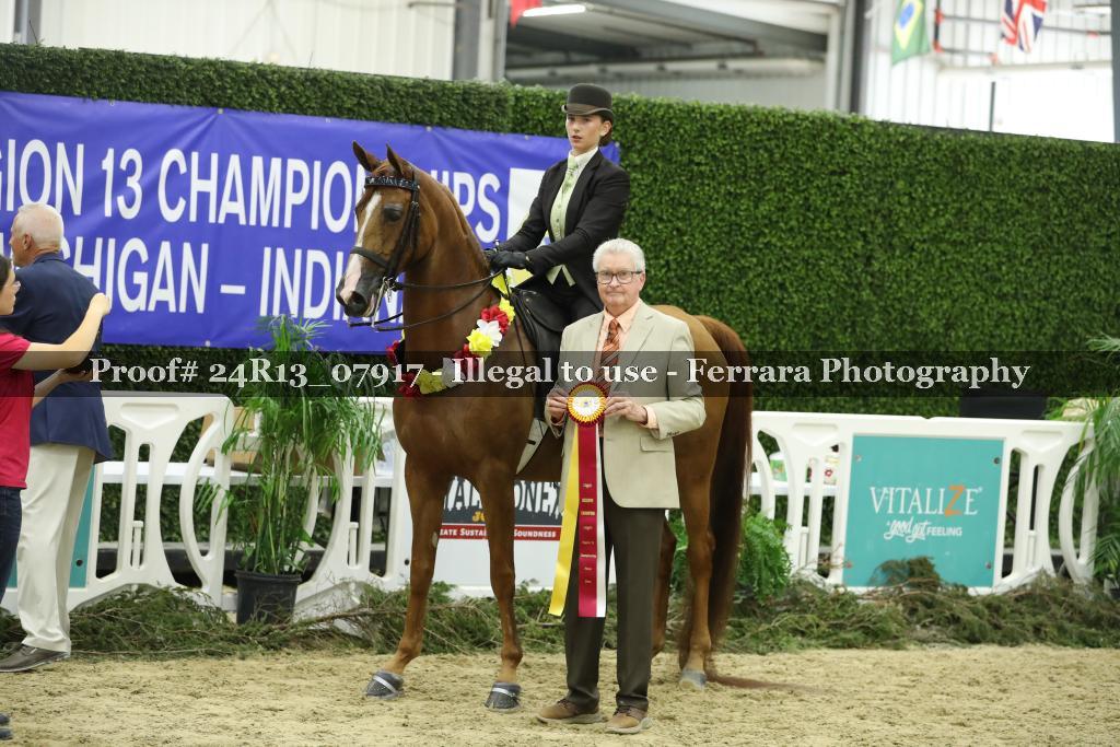 Proof 24R13_07917
